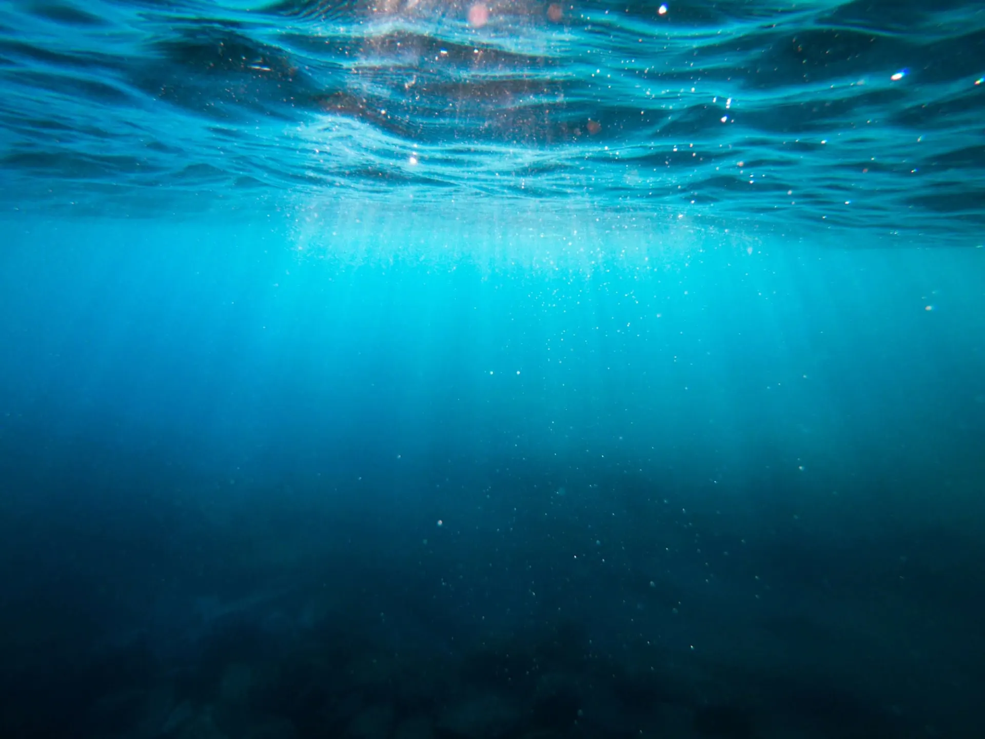 Deep-sea fishing waters in Indonesia