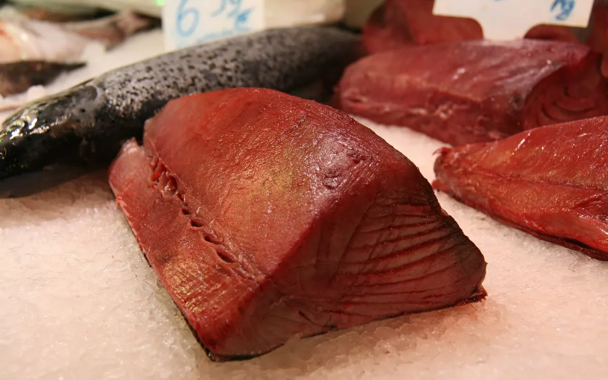 Bluefin Tuna Loin