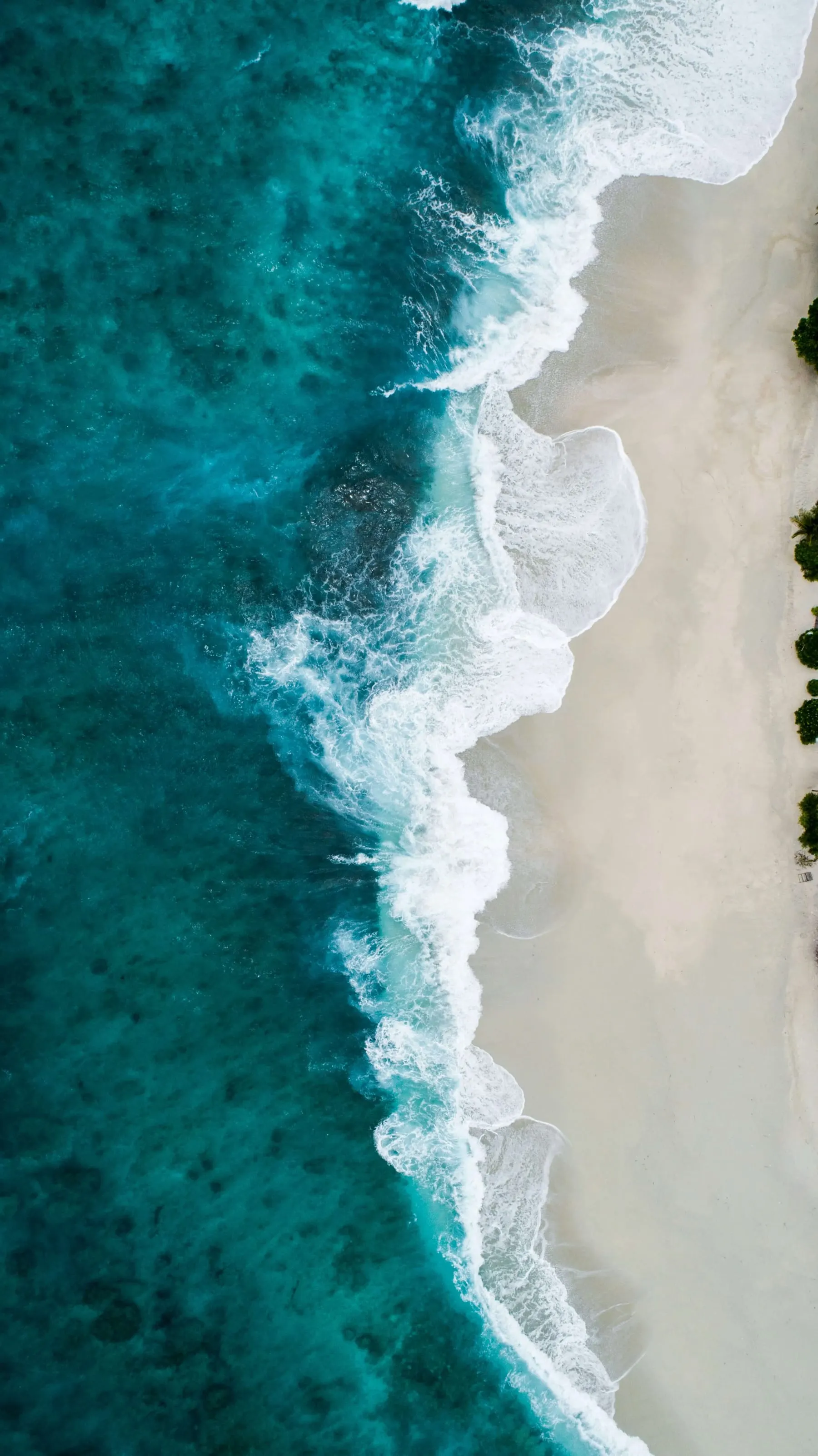 Coastal tidal waters used for seafood sourcing