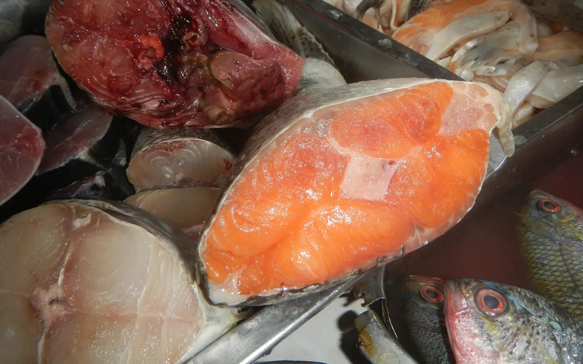 Atlantic Salmon Steak