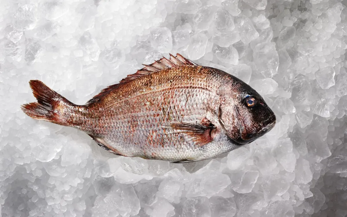 Tai Whole